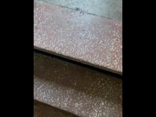 Dickflash To Neighbours On Entrance Stairs. Public Exhibition Part 1
