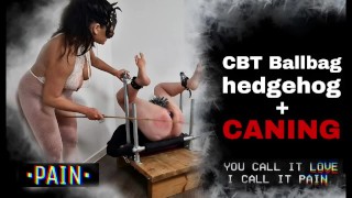 Femdom CBT Caning Butt Plug Bondage Bench BDSM Pegs