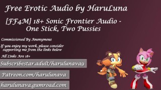 Sonic One Stick Two Pussies 18 Audio