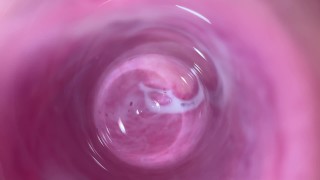 Inside Vagina The Hot Teen Inserts A Camera Into Her Vagina