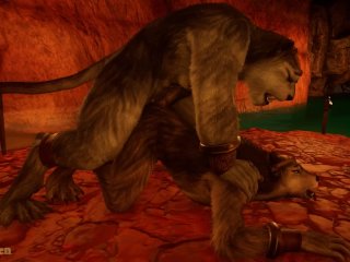 Wolf And Gray Tiger Found A Secluded Spot In A Cave To Secretly Have Sex - Wild Life