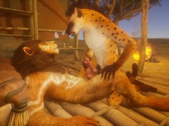 Wild Life Hyna and Lion Gay Furry