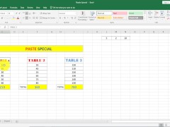 Paste Special in Excel