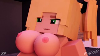 Compilation Of Minecraft Porn Animations