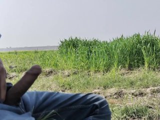 Indian Big Cock Jerk And Showing Cock In Open Area