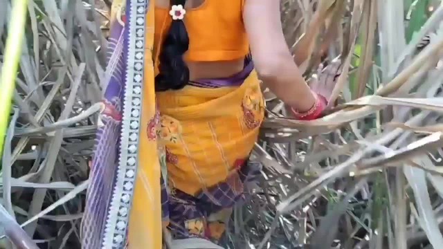 640px x 360px - New best Indian Desi Village Outdoor Bhabhi Public Porn Video - Pornhub.com