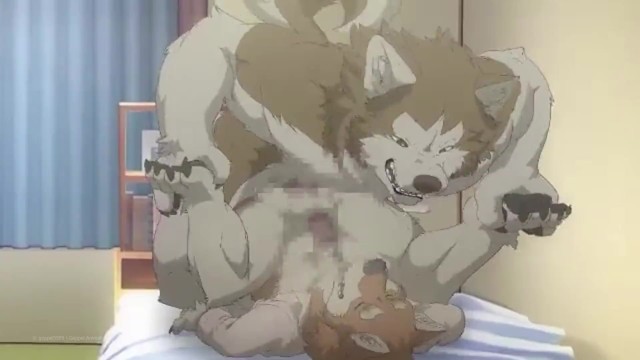 Anime Boy Gay Furry Porn - Gay Yiff Furry Animation (Gebbi5959) Work Fuck - Pornhub.com