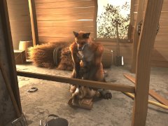 a fox in a stable