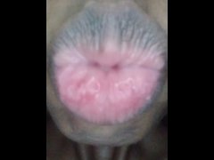 Virtually kissing your cock pt. 2
