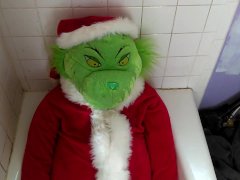 You're a Mean One Mr. Grinch