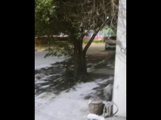 Madrugada Tremenda Paja 🤤