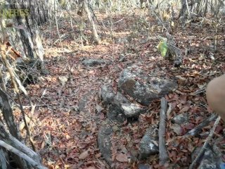POV: Encuentras Una CHICA En El Bosque yTerminan COGIENDO Rico