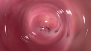 Masturbate Dick's POV Is Captured By An Internal Camera Inside A Tight Creamy Vagina