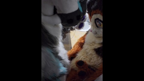 480px x 270px - Loona tight furry anal - ThisVid.com