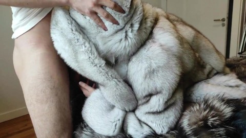 Pregnant Furry Fox Blowjob - Furry Fox Blowjob Porn Videos | Pornhub.com