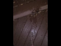 Piss On The Porch 《4k》