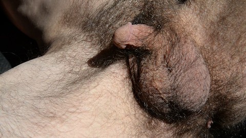 Hairy Closeup Gay Porn Videos | Pornhub.com