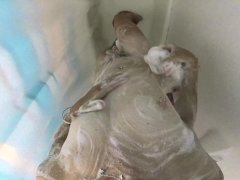 Variety Itsol's POV masturbating then fucking some more in the shower