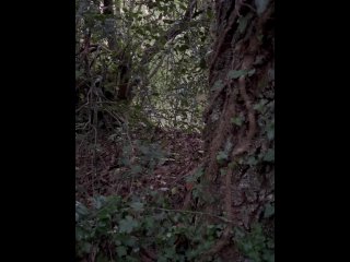 I Meet a Hot Girl in the Woods and I Cum on Her_Small Tits_After a Good_Blowjob