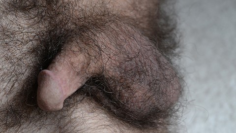 480px x 270px - Hairy Penis Gay Porn Videos | Pornhub.com