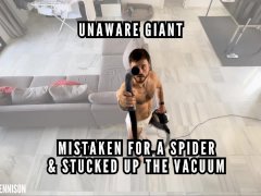 Unaware giant - trapped on spiders web and sucked up the vacuum
