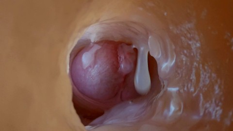 Camera Inside Vagina Creampie - Camera Inside Vagina Creampie Gay Porn Videos | Pornhub.com