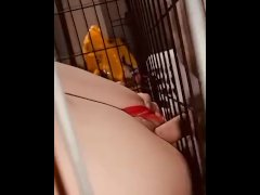 Naughty girl pleases daddy in cage