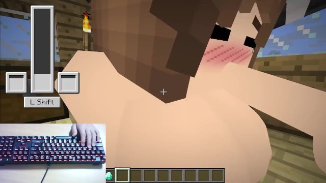 Minecraft マイクラでえっちしてみた フェラチオ編 マインクラフト 手元動画 エロ セックス