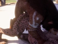 Furry Sex Huge Cock Lion Fucks Busty Jaguar Yiff 3D Hentai