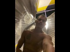 Wolf jerks in tanning booth