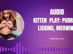 Kitten Play Audio: Purring